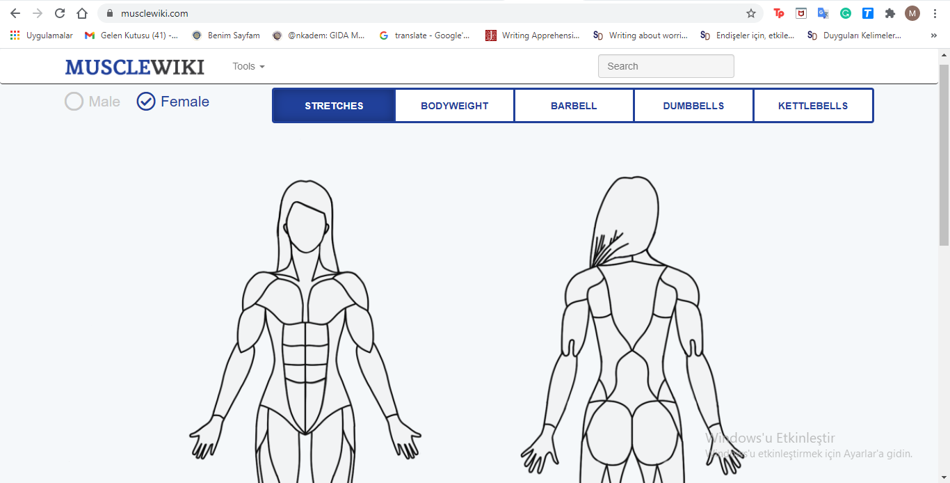 İşlerinizi Kolaylaştıracak İnternet Siteleri ve Eklentiler 